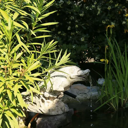 Du Soleil Saint-Raphael (Var)