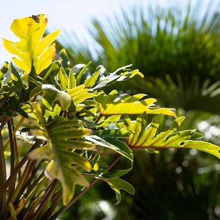 Otel Du Soleil 3*