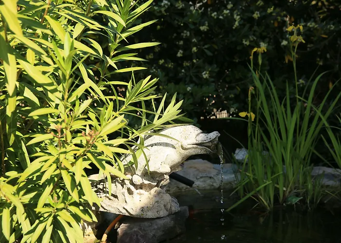 Du Soleil Сен-Рафаэль